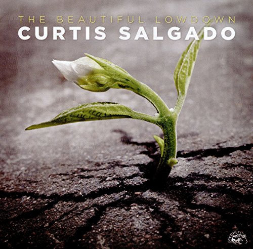 SALGADO, CURTIS - THE BEAUTIFUL LOWDOWN