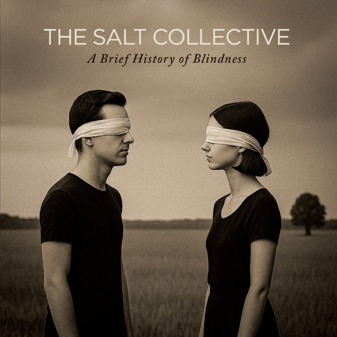 SALT COLLECTIVE, THE - A BRIEF HISTORY OF BLINDNESS (CITRINE MIST VINYL)