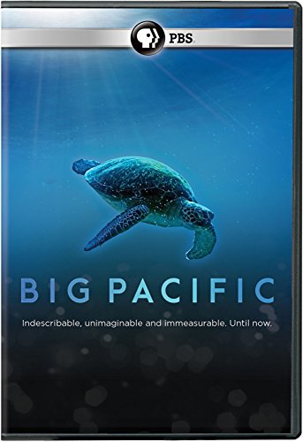 BIG PACIFIC [IMPORT]