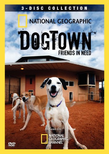 DOG TOWN:FRIENDS IN NEED