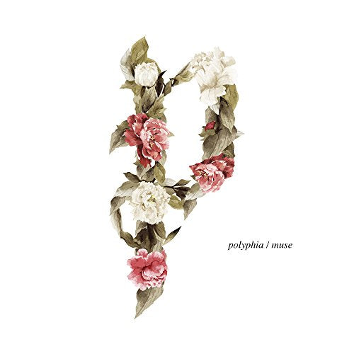 POLYPHIA - MUSE