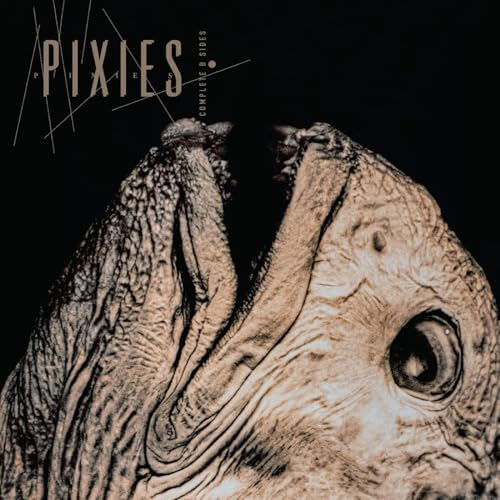 PIXIES - COMPLETE B SIDES: 1988-97 (CD)