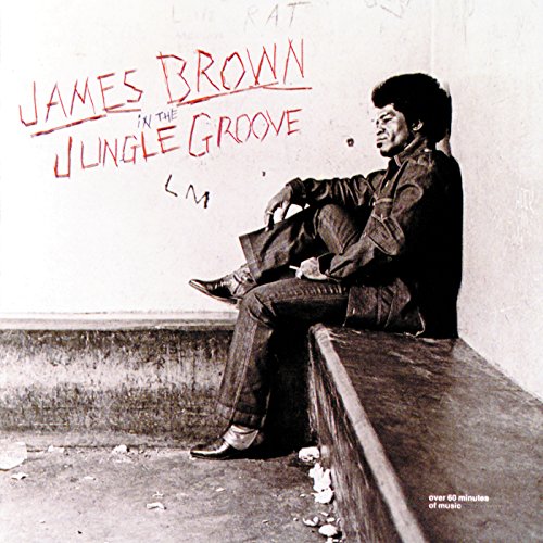 BROWN, JAMES - IN THE JUNGLE GROOVE