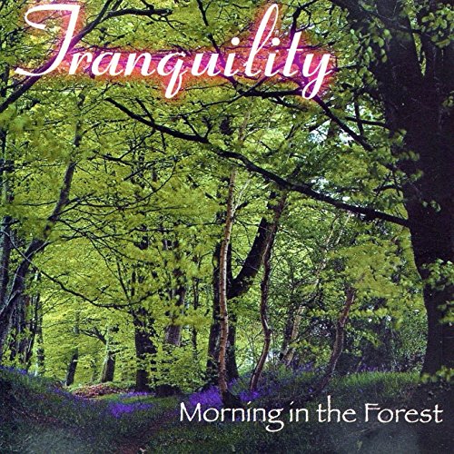 TRANQUILITY - MORNING IN THE FOREST