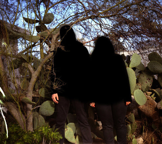 BLESSURE GRAVE  - JUDGED BY TWELVE CARRIED BY SIX