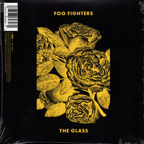 H.E.R. (2), FOO FIGHTERS - THE GLASS