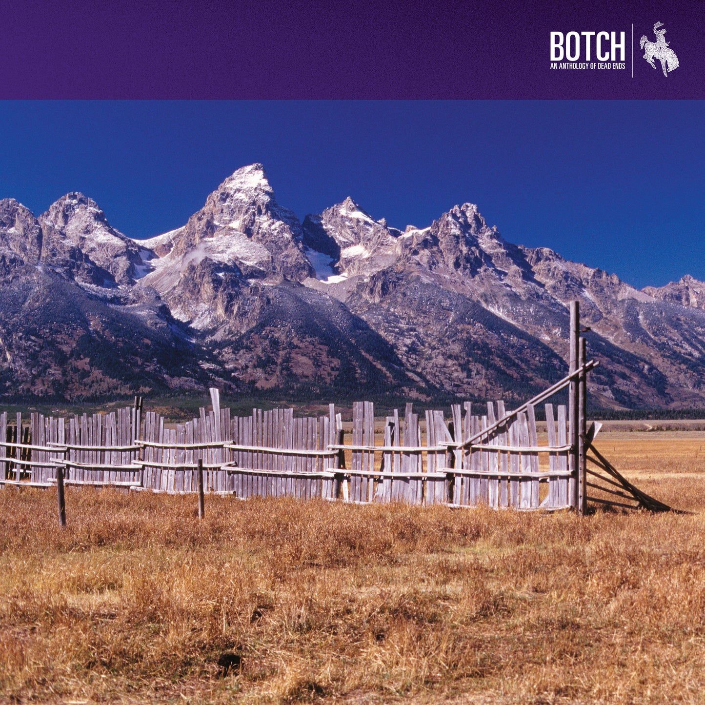 BOTCH  - AN ANTHOLOGY OF DEAD ENDS