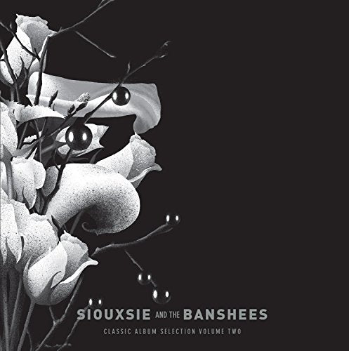 SIOUXSIE AND THE BANSHEES - CLASSIC ALBUM SELECTION VOL.2 (6 CD)