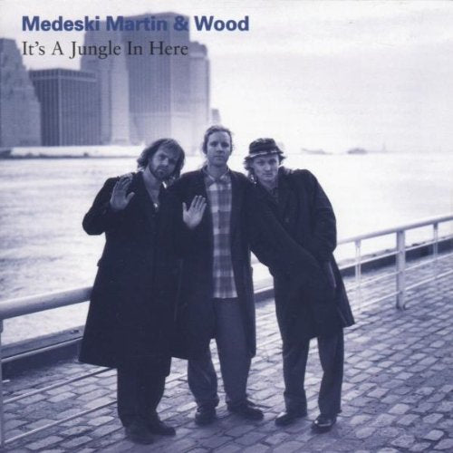 MEDESKI, MARTIN & WOOD - IT'S A JUNGLE IN HERE