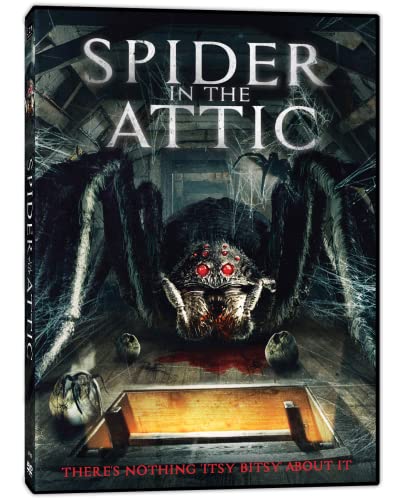 SPIDER IN THE ATTIC - DVD