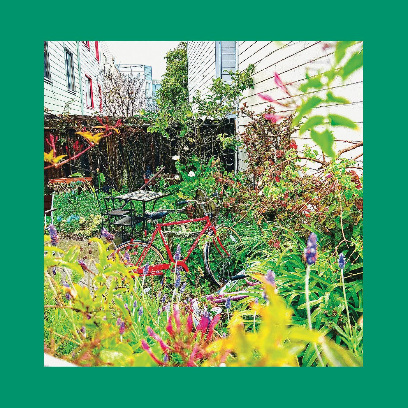 REDS, PINKS & PURPLES, THE - UNWISHING WELL