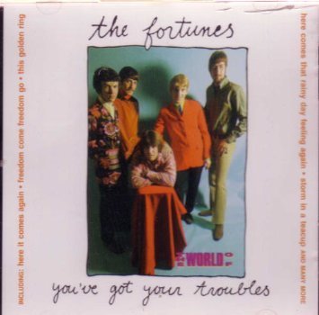 THE FORTUNES - YOU'VE GOT YOUR TROUBLES