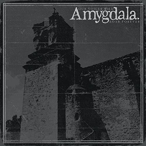 AMYGDALA - OUR VOICES WILL SOAR FOREVER (CD)