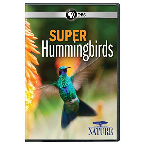 NATURE: SUPER HUMMINGBIRDS [IMPORT]