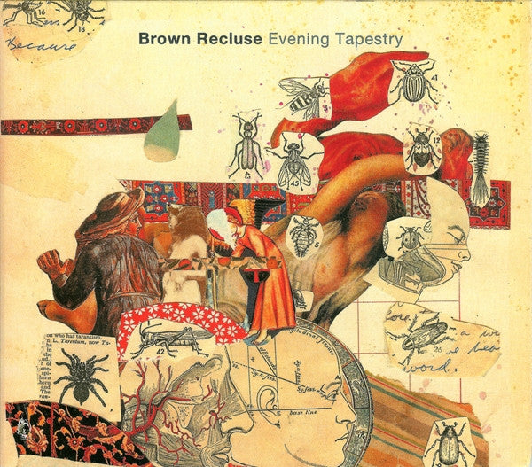 BROWN RECLUSE  - EVENING TAPESTRY