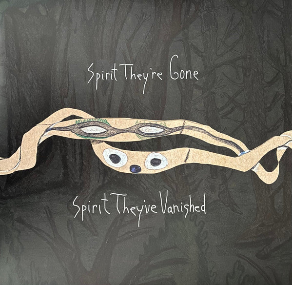 ANIMAL COLLECTIVE - SPIRIT THEY'RE GONE SPIRIT THEY'VE VANISHED