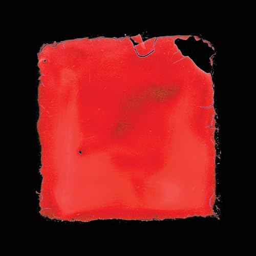 SALVIA PALTH - LAST CHANCE TO SEE (STANDARD BLACK) (VINYL)