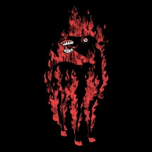THE BESNARD LAKES - GHOST NATION (GHOST MIXES) [CD]