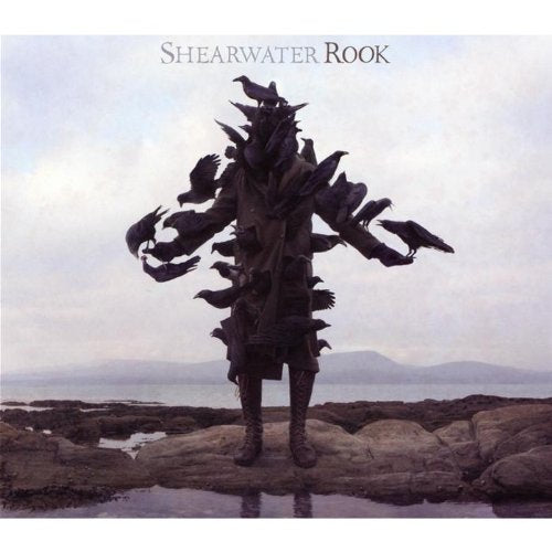 SHEARWATER  - ROOK