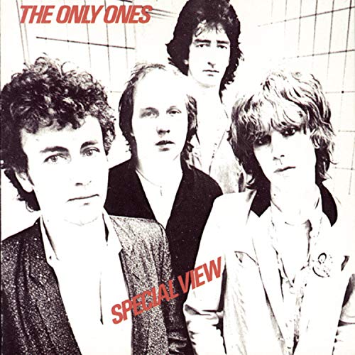 ONLY ONES - SPECIAL VIEW