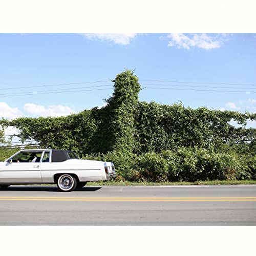 CORY BRANAN - WHEN I GO I GHOST (CD)