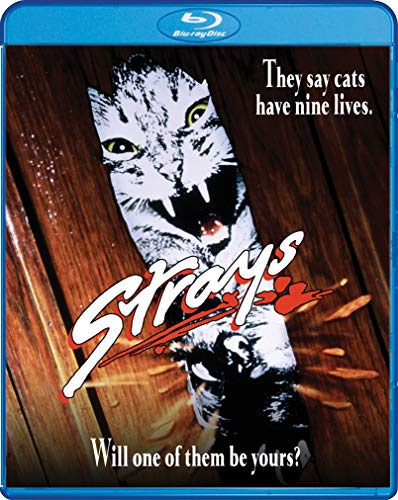 STRAYS [BLU-RAY]