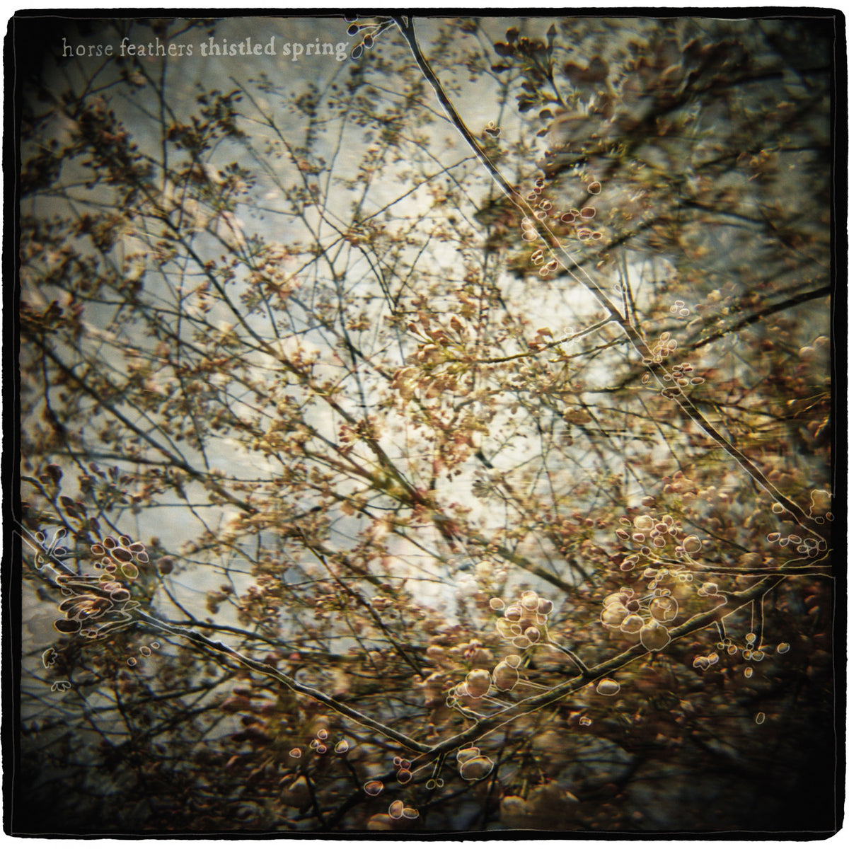 HORSE FEATHERS - THISTLED SPRING