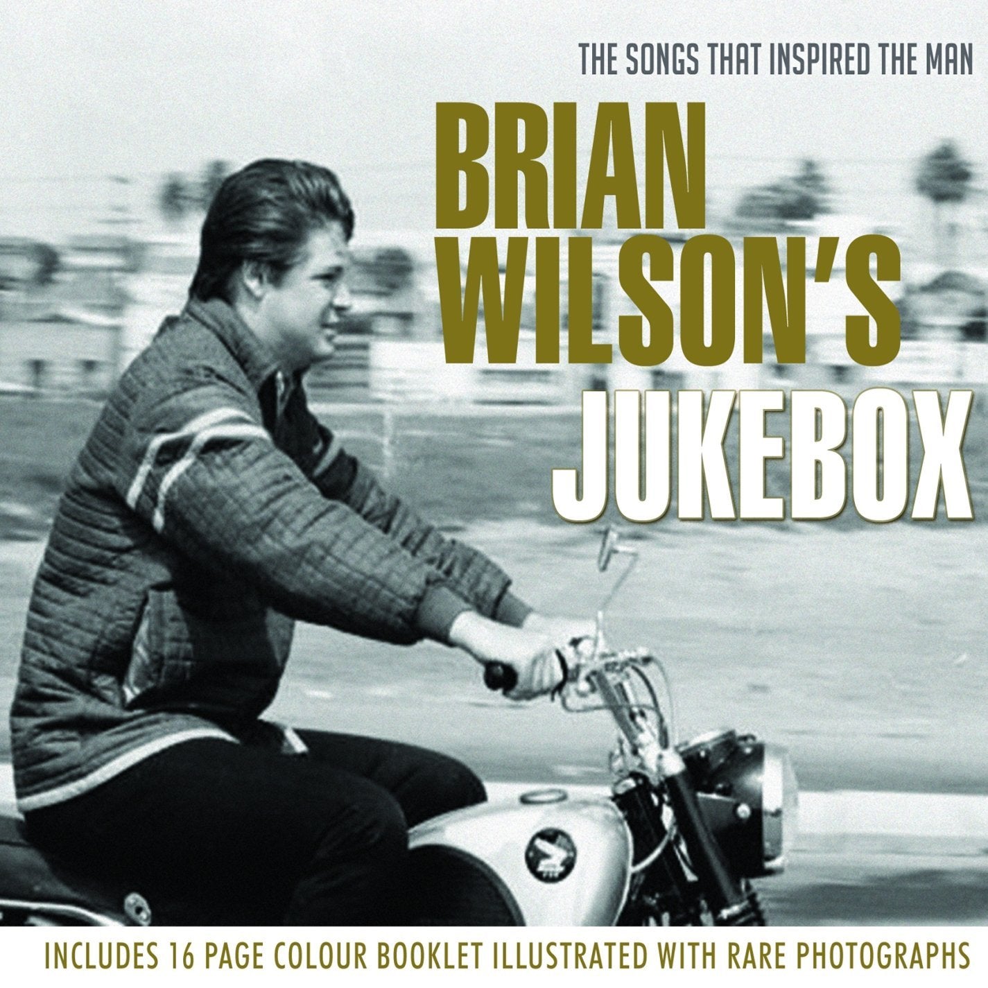 VARIOUS  - BRIAN WILSON'S JUKEBOX