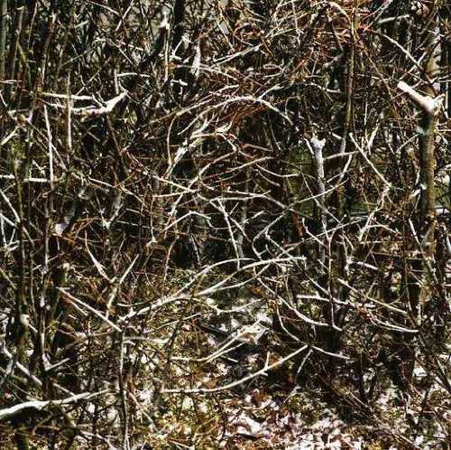 FALL HORSIE - DEVIL(E)DURGE