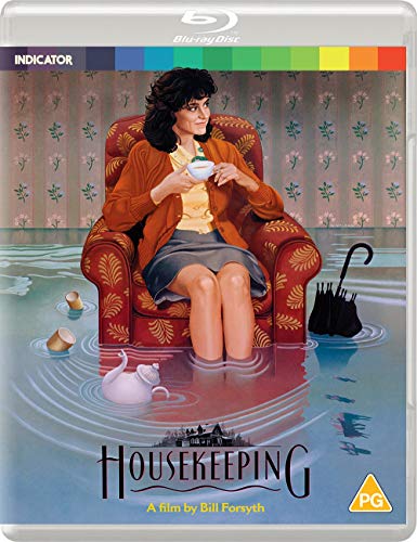 HOUSEKEEPING  - BLU-INDICATOR