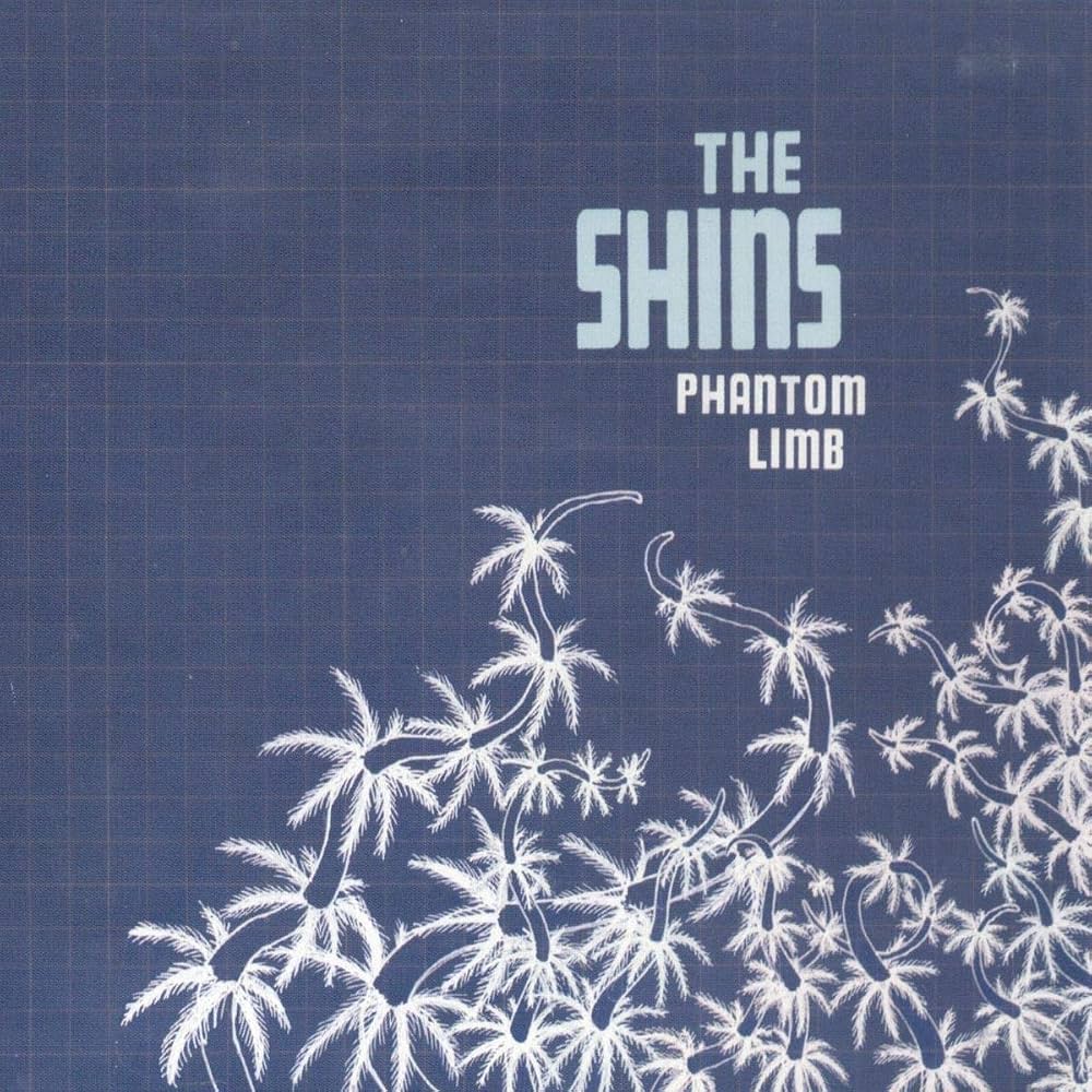 SHINS  - PHANTOM LIMB (CDS)