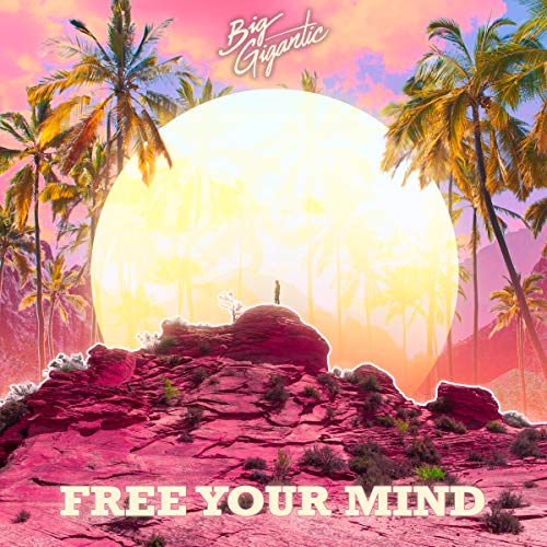 BIG GIGANTIC - FREE YOUR MIND (CD)