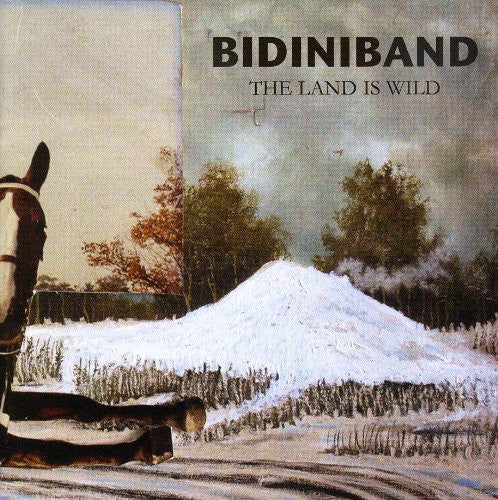 BIDINIBAND  - LAND IS WILD