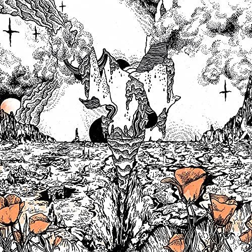 EVOLFO - LAST OF THE ACID COWBOYS (CD)