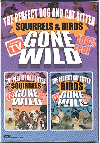 SQUIRRELS & BIRDS GONE WILD