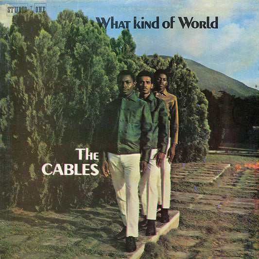 CABLES  - WHAT KIND OF WORLD