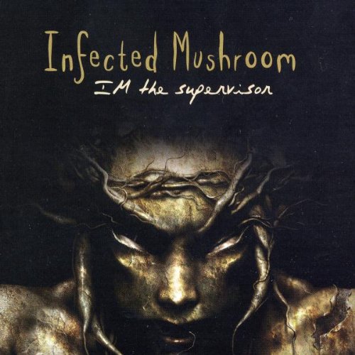 INFECTED MUSHROOM  - IM THE SUPERVISOR