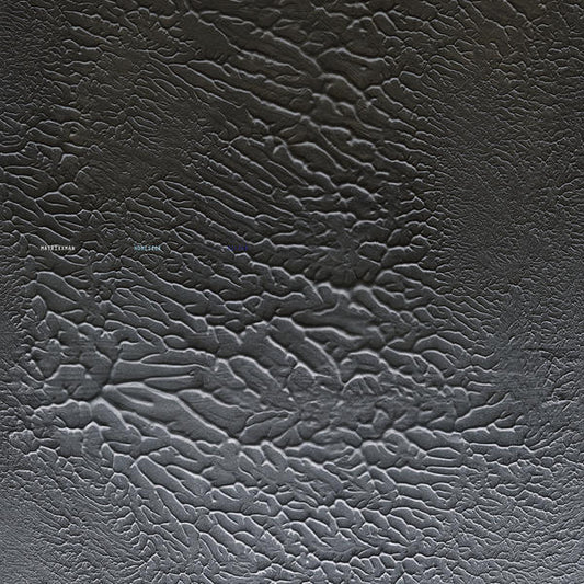 MATRIXXMAN  - HOMESICK