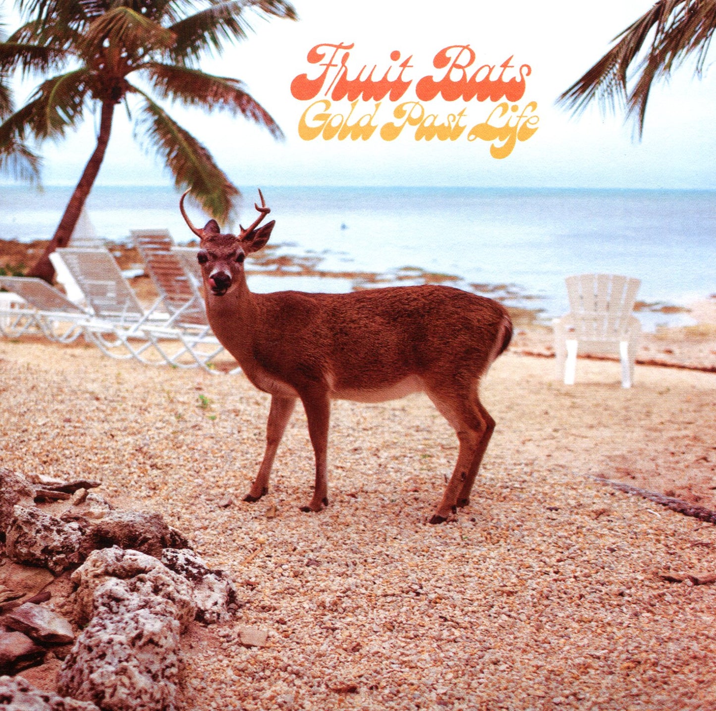 FRUIT BATS  - GOLD PAST LIFE