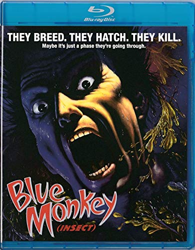 BLUE MONKEY (AKA INSECT)  - BLU