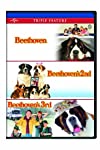 BEETHOVEN 1-3 - DVD-TRIPLE FEATURE