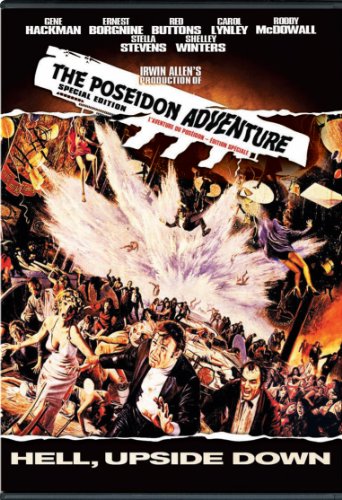 NEW POSEIDON ADVENTURE (DVD)