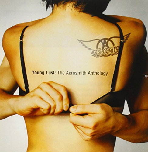 AEROSMITH - YOUNG LUST ANTHOLOGY