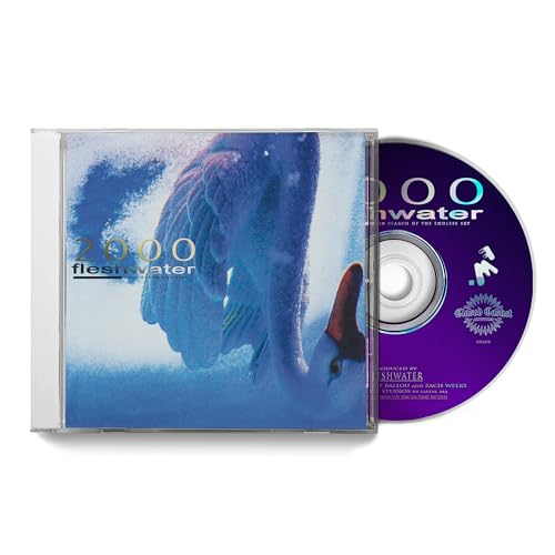 FLESHWATER - 2000: IN SEARCH OF THE ENDLESS SKY (CD)