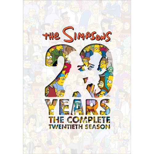 THE SIMPSONS SEASON 20 DVD