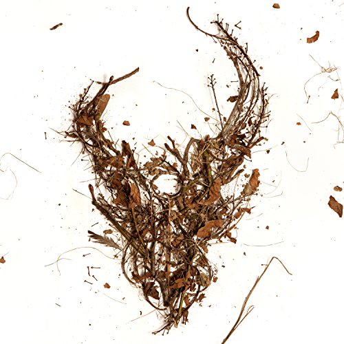 QUEENSRYCHE - QUEENSRYCHE