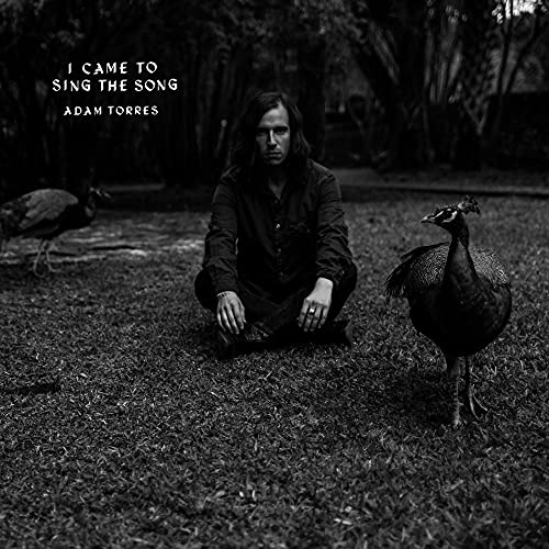 ADAM TORRES - I CAME TO SING THE SONG (CD)