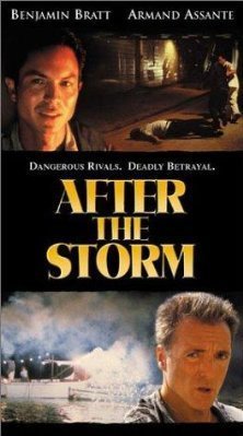 AFTER THE STORM (WIDESCREEN)