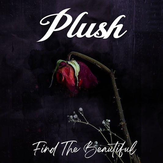 PLUSH  - FIND THE BEAUTIFUL
