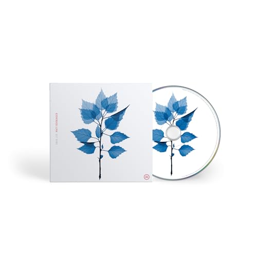 MATT BERNINGER - GET SUNK (CD)